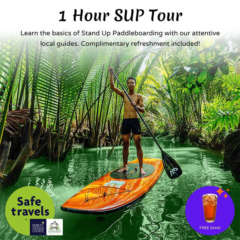 stand up paddle board tour